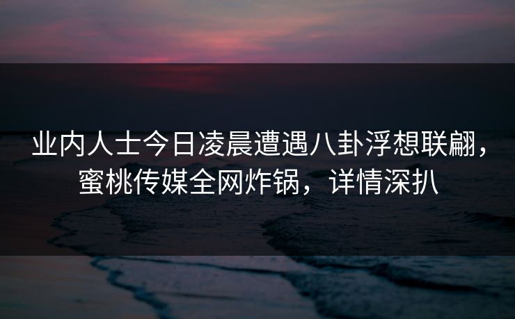 业内人士今日凌晨遭遇八卦浮想联翩，蜜桃传媒全网炸锅，详情深扒