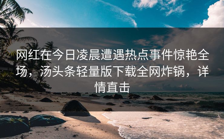 网红在今日凌晨遭遇热点事件惊艳全场，汤头条轻量版下载全网炸锅，详情直击