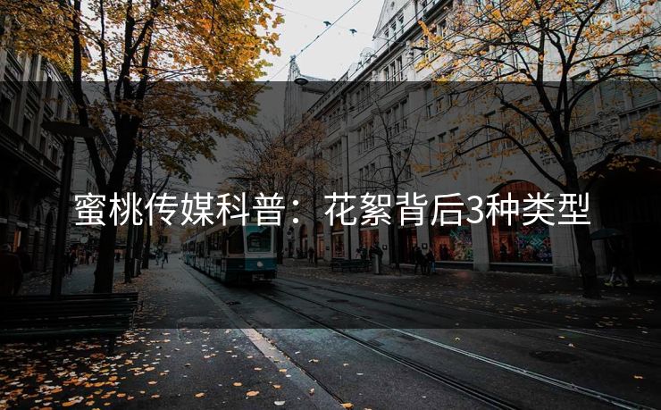 蜜桃传媒科普：花絮背后3种类型