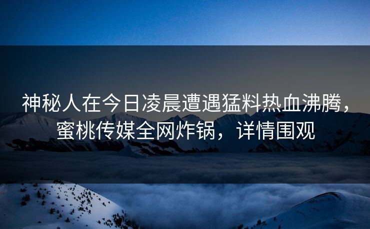 神秘人在今日凌晨遭遇猛料热血沸腾,蜜桃传媒全网炸锅,详情围观 神秘人在今日凌晨遭遇猛料热血沸腾,蜜桃传媒全网炸锅,详情围观
