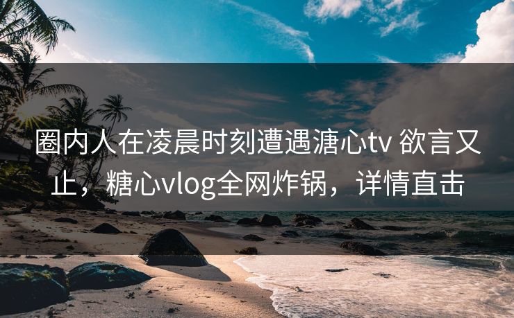 圈内人在凌晨时刻遭遇溏心tv 欲言又止，糖心vlog全网炸锅，详情直击