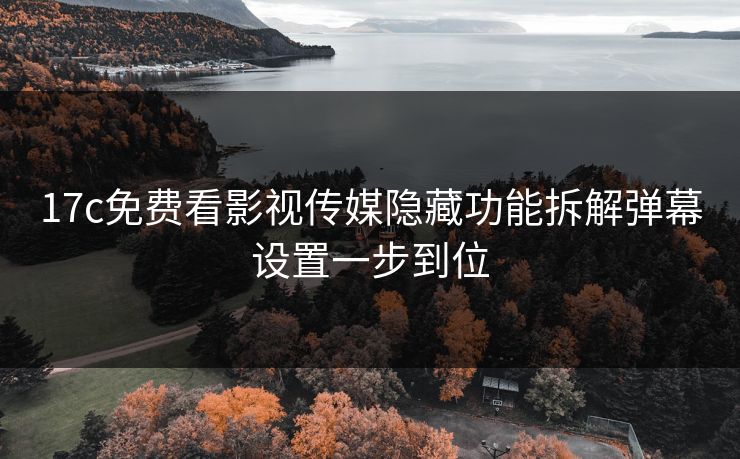 17c免费看影视传媒隐藏功能拆解弹幕设置一步到位